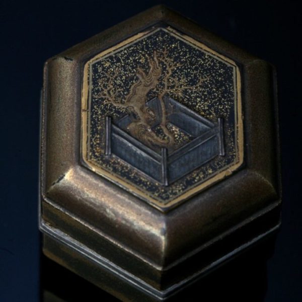 Hexagonal box with tree decoration