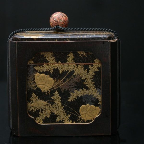 Caja decorada con insectos y helechos